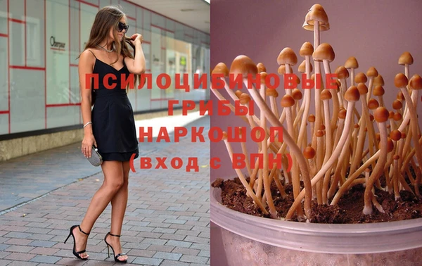 бошки Алексеевка