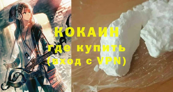 индика Абинск