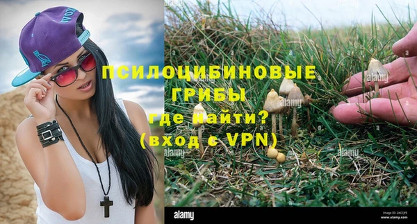 а пвп мука Абаза