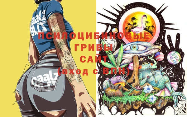 индика Абинск