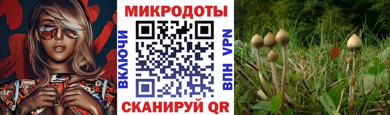 Галлюциногенные грибы мицелий  Ряжск 